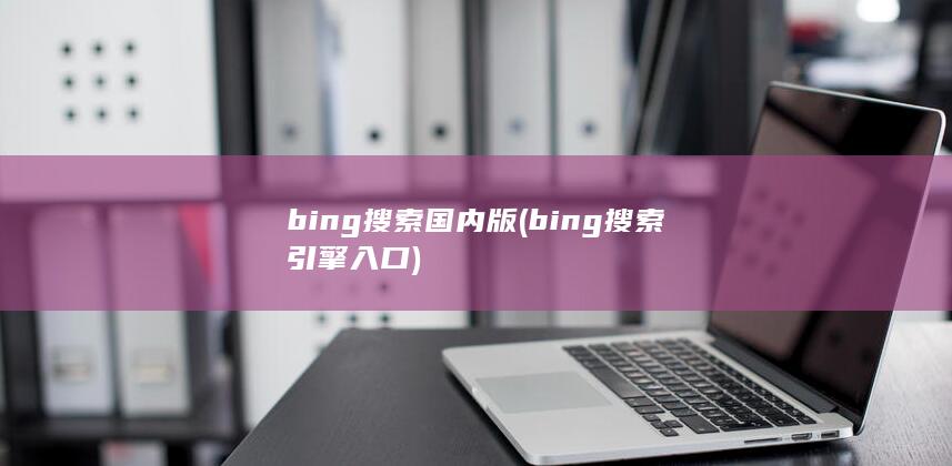 bing搜索 国内版 (bing搜索引擎入口)