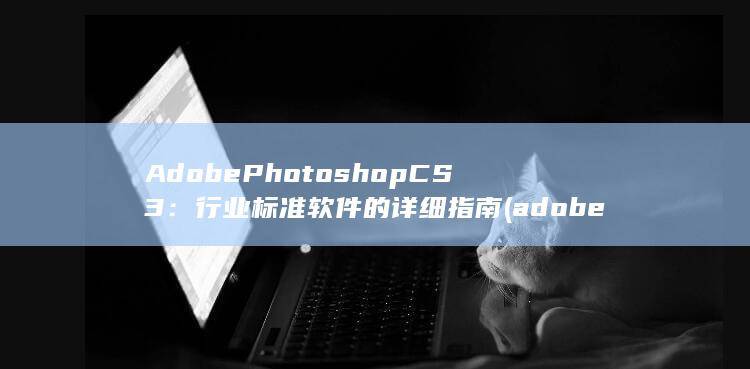 Adobe Photoshop CS3：行业标准软件的详细指南 (adobephotoshop官网)