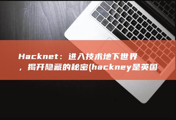 Hacknet：进入技术地下世界，揭开隐藏的秘密 (hackney是英国什么地方) 第1张