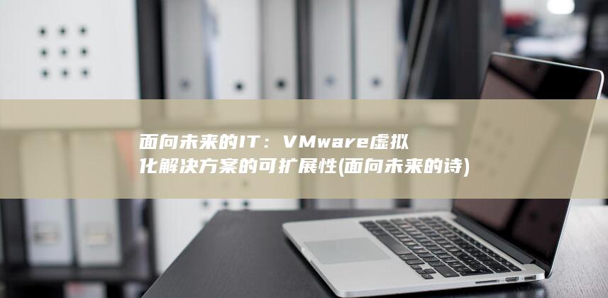 面向未来的 IT：VMware 虚拟化解决方案的可扩展性 (面向未来的诗) 第1张