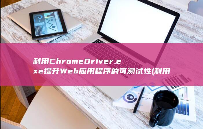 利用 ChromeDriver.exe 提升 Web 应用程序的可测试性 (利用chroma6312进行动态负载测试的设置操作) 第1张